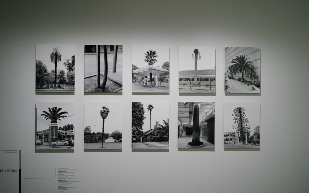 FONDATION CARTIER POUR L’ART CONTEMPORAIN PRÉSENTE SA NOUVELLE EXPOSITION ”NOUS LES ARBRES”-LA FONDATION CARTIER | PARIS | FRANCE 34