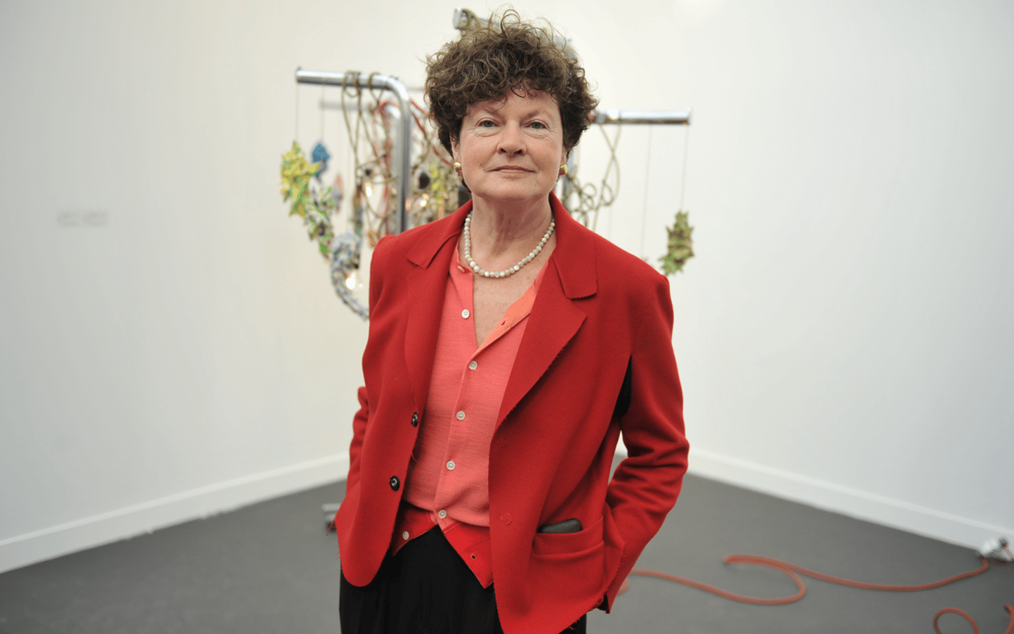 Vernissage Fiac 2011-LE GRAND PALAIS | PARIS 24