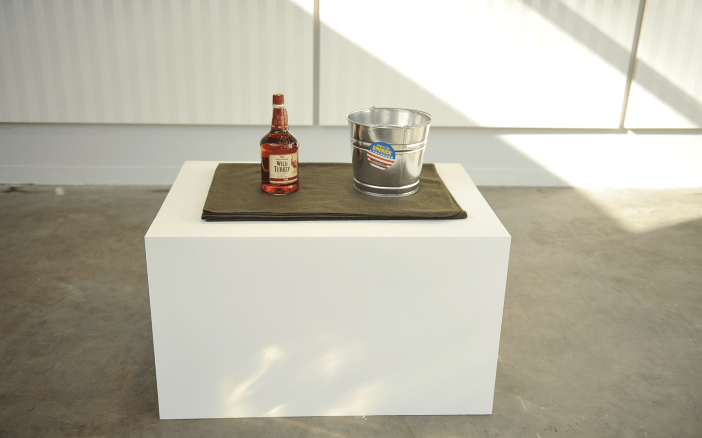 Vernissage Fiac 2011-LE GRAND PALAIS | PARIS 62