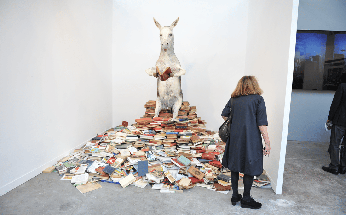 Vernissage Fiac 2011-LE GRAND PALAIS | PARIS 66